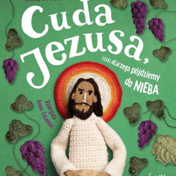 Justyna Bednarek Cuda Jezusa 